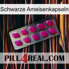 Black Ant Capsules 09